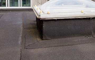 disadvantages of Tilney Fen End flat roofs