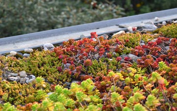 the cost of Tilney Fen End green roof installation