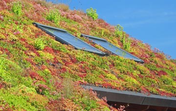 Tilney Fen End living roof systems